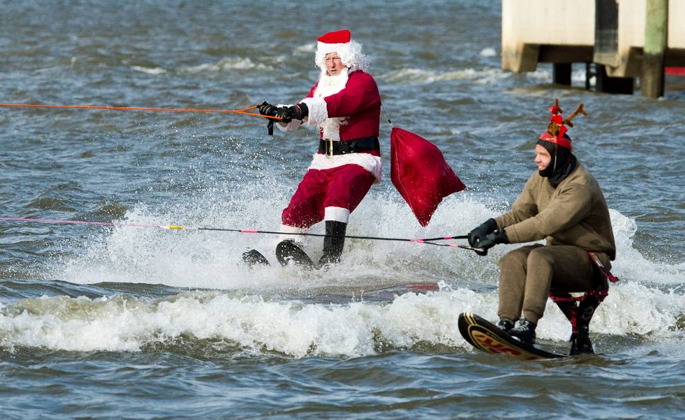 Ma sul Potomac, vicino Washington negli Stati Uniti, c&#39; anche la renna. Afp